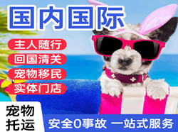 西郊航空空运国际宠物托运 【国